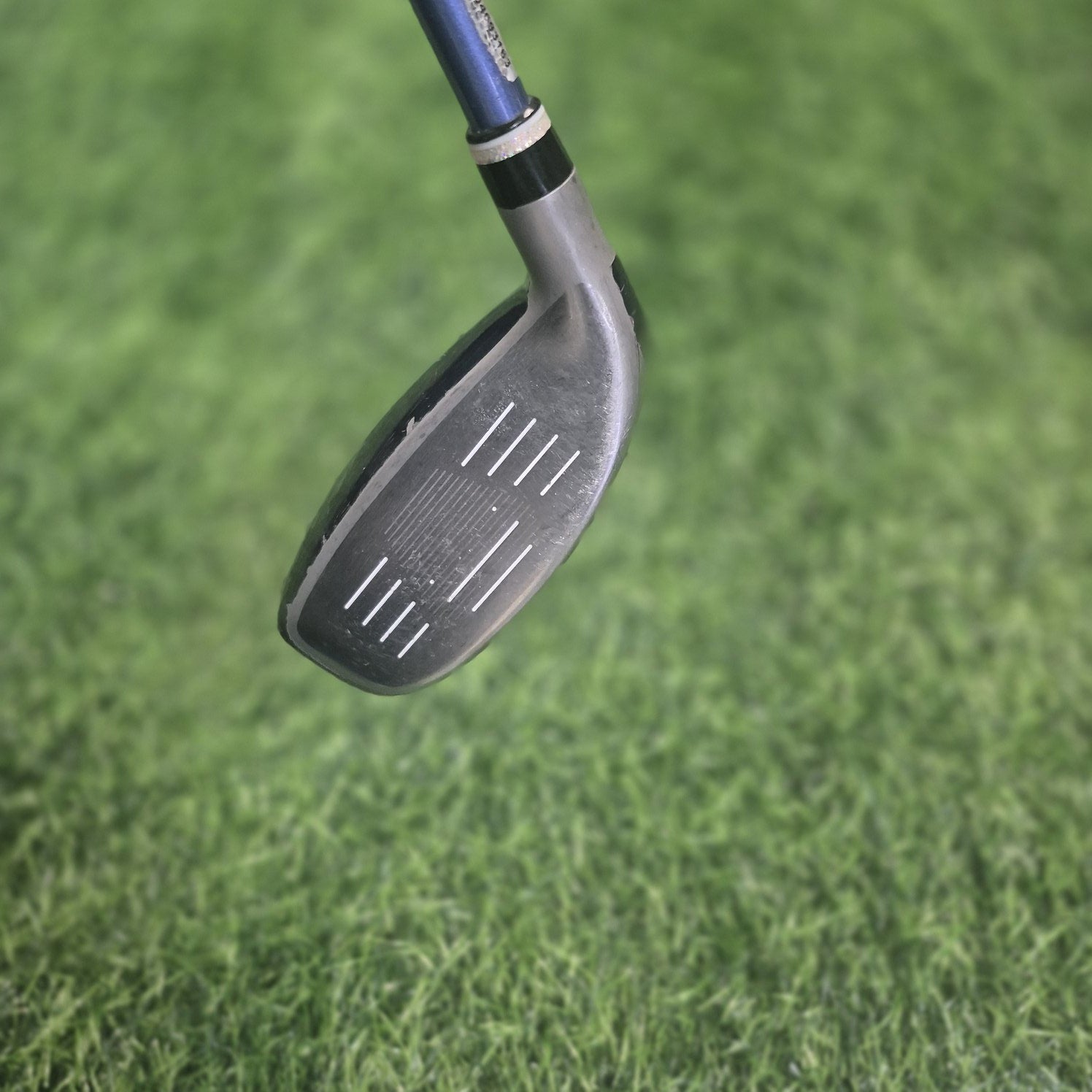 XXIO Hybrid / XXIO 11 / 5H(25.0) / Women