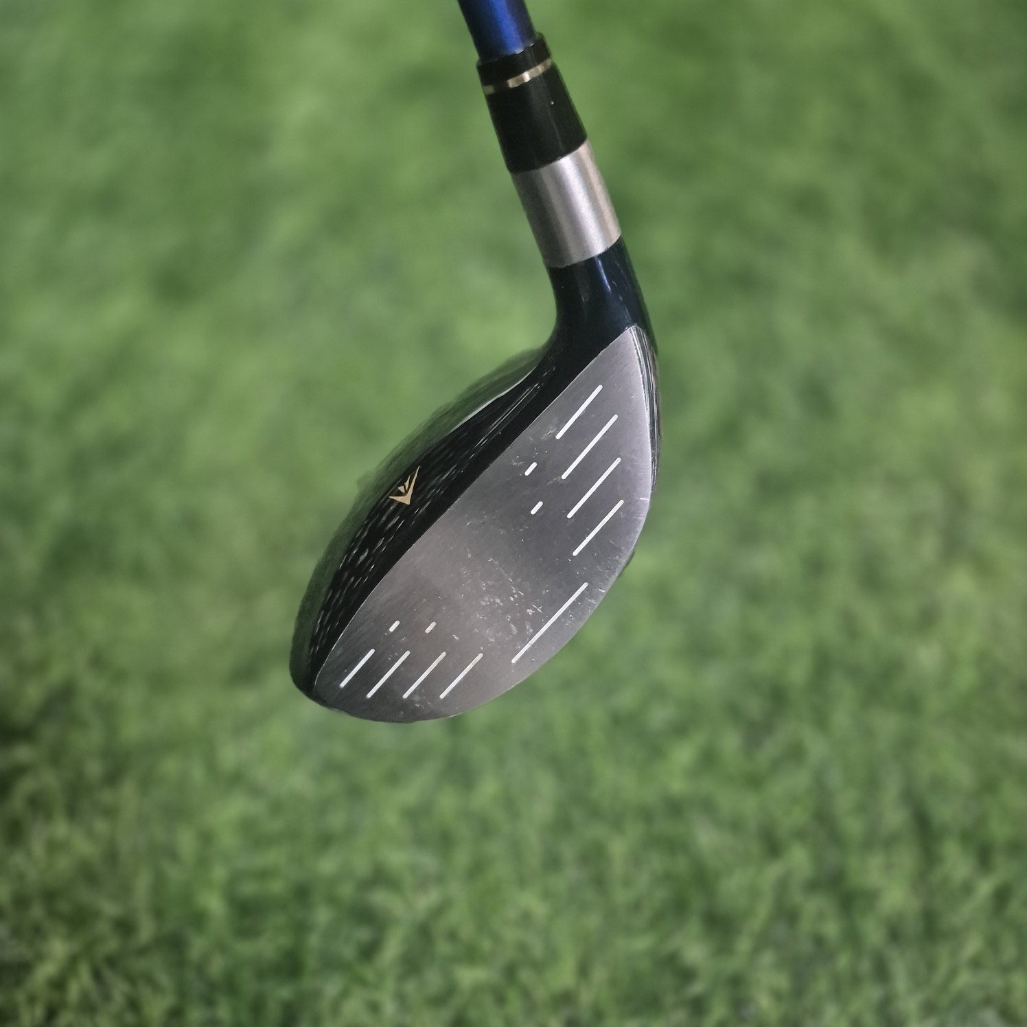 HONMA Wood / LB-808 Limited Edition / 7W(21.0) / R