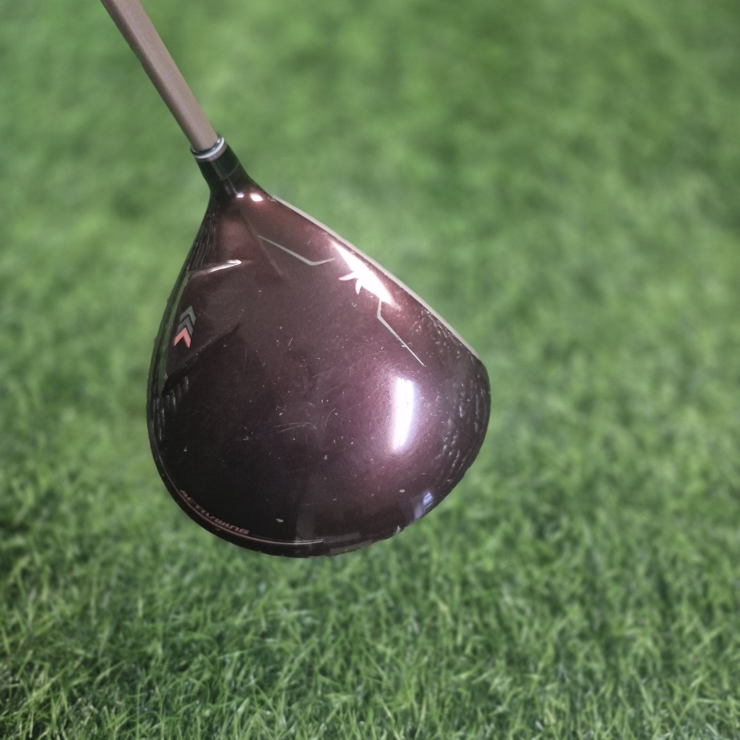 XXIO Driver / XXIO 12 Bordeaux / 12.5° / Women