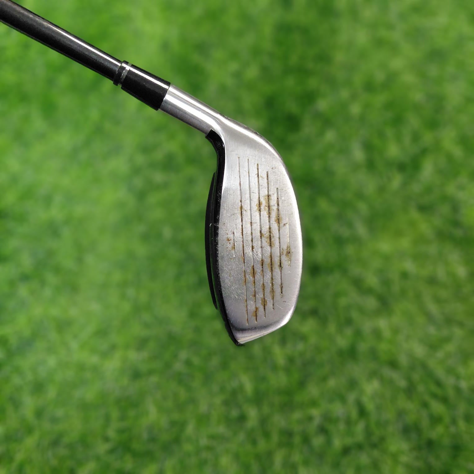 Adams Wood / Speedline Fast 12 / 3W / R