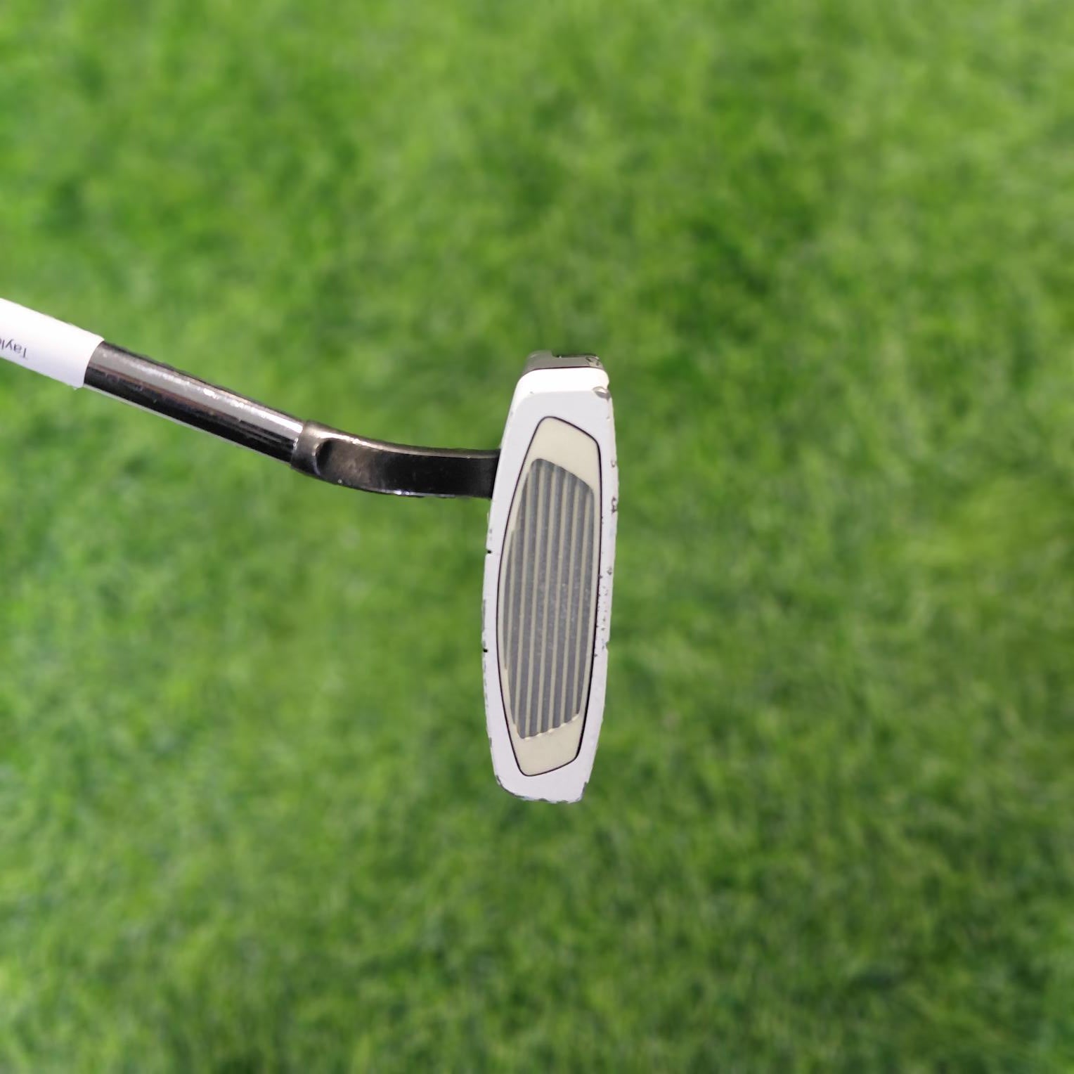 TaylorMade Putter / SPIDER EX PL/WH FLOW NECK / 33"