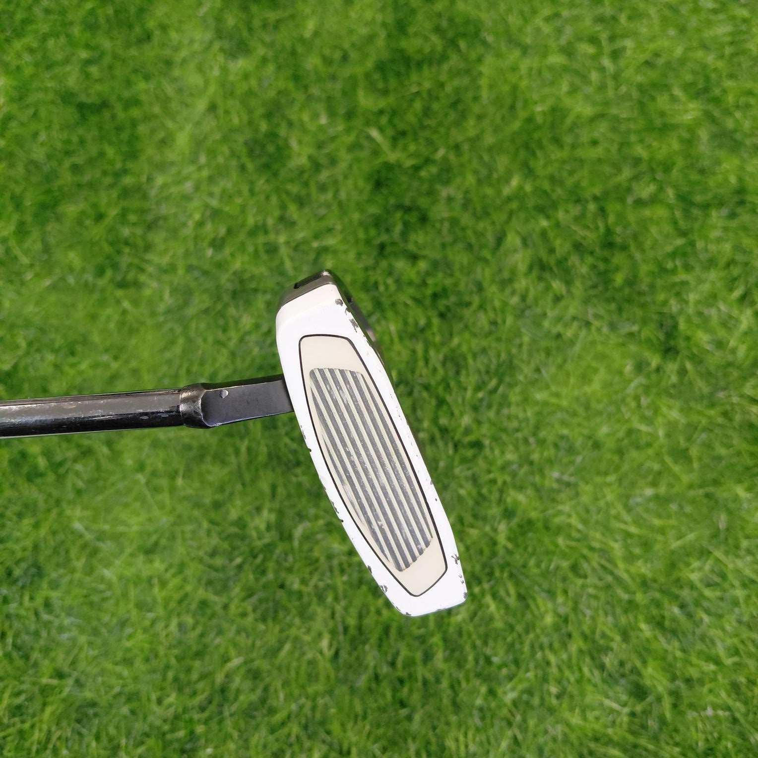 TaylorMade Putter / SPIDER EX PL/WH / 34"