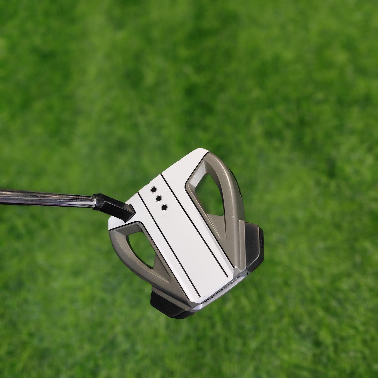 TaylorMade Putter / SPIDER EX PL/WH / 34"