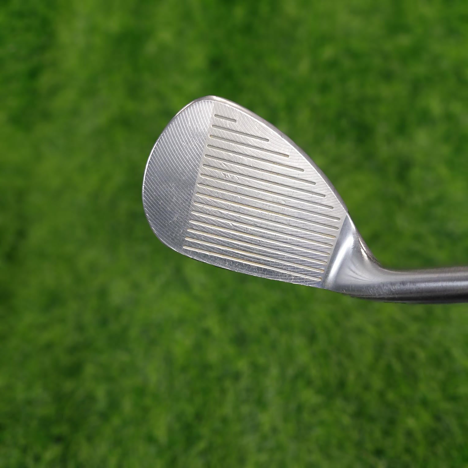 Bridgestone Iron Set / V300 III / SW / R