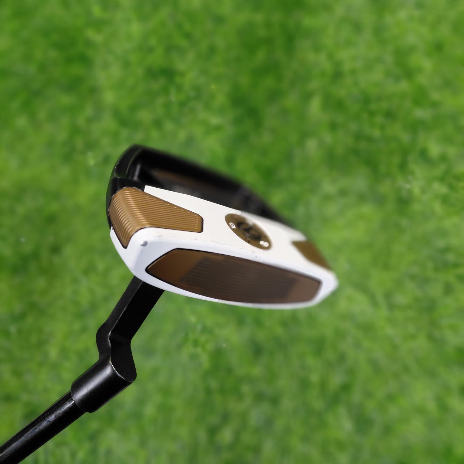 TaylorMade Putter / SPIDER FCG BKWH  / 33"