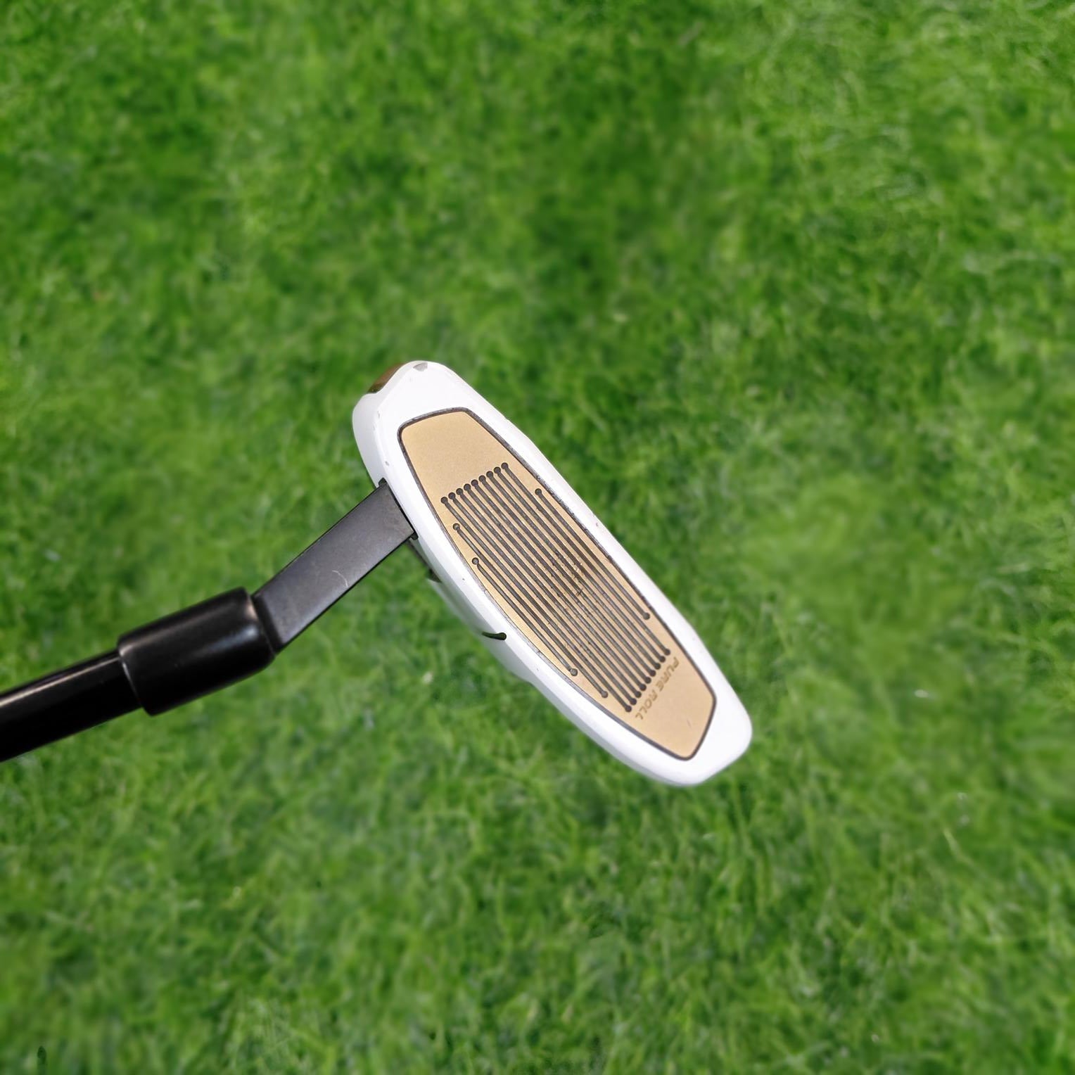 TaylorMade Putter / SPIDER FCG BKWH  / 33"