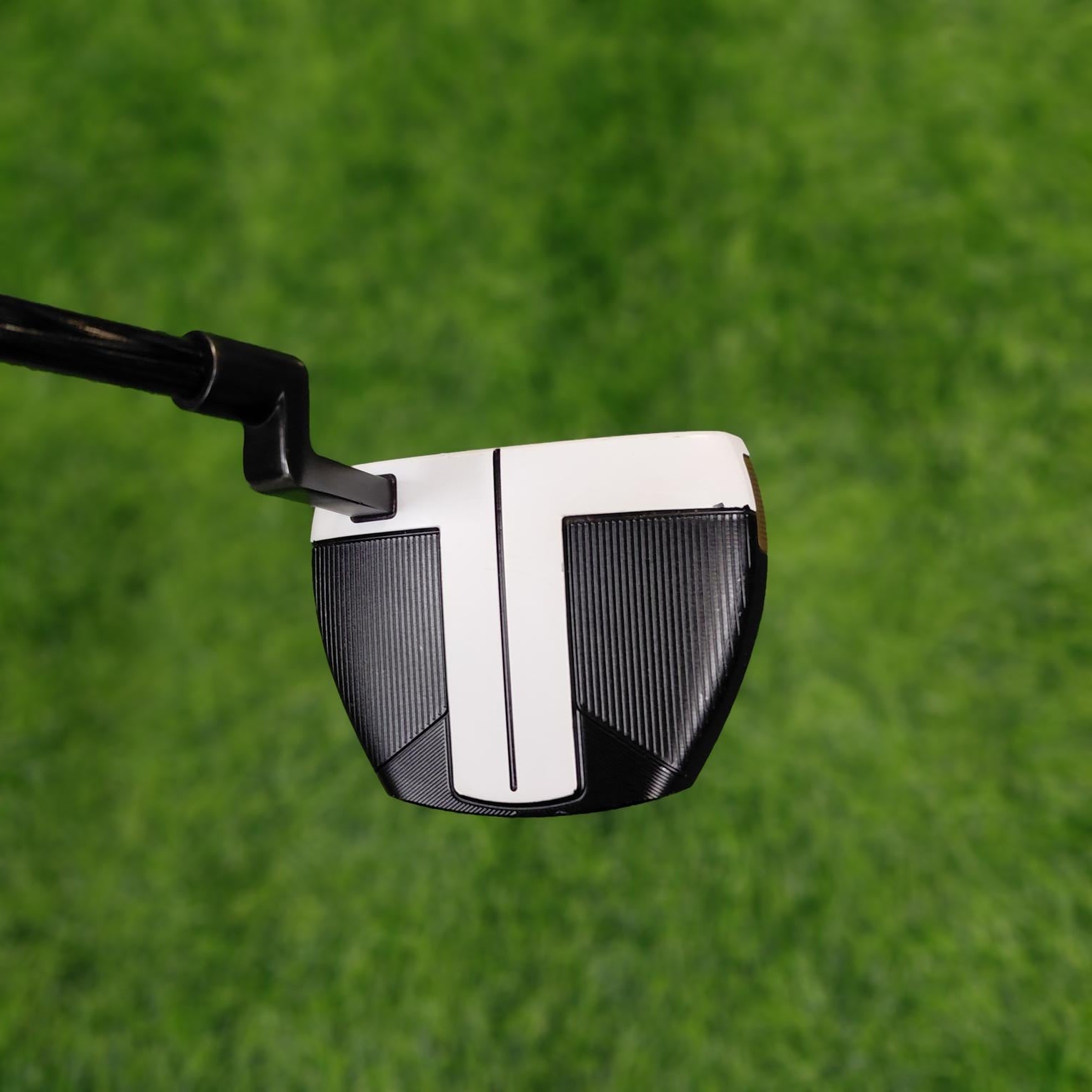 TaylorMade Putter / SPIDER FCG BKWH  / 33"