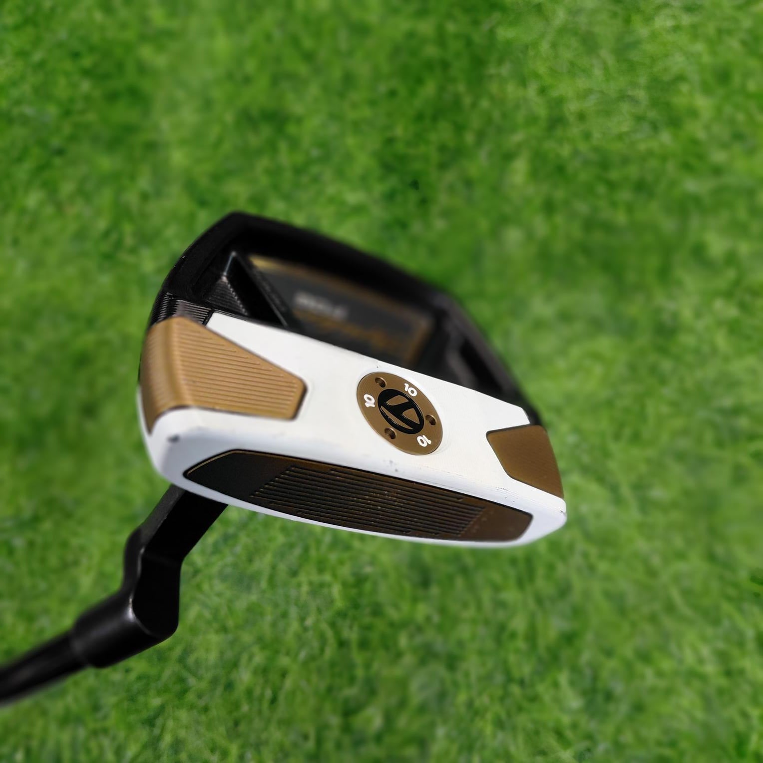 TaylorMade Putter / SPIDER FCG BKWH  / 33"