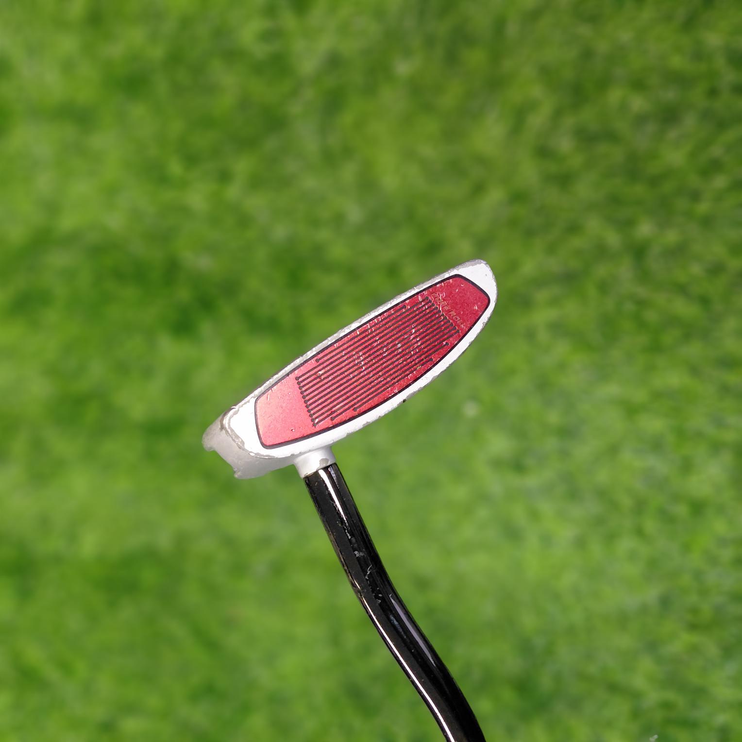 TaylorMade Putter / Spider MINI DIAMOND SILVER / 34"