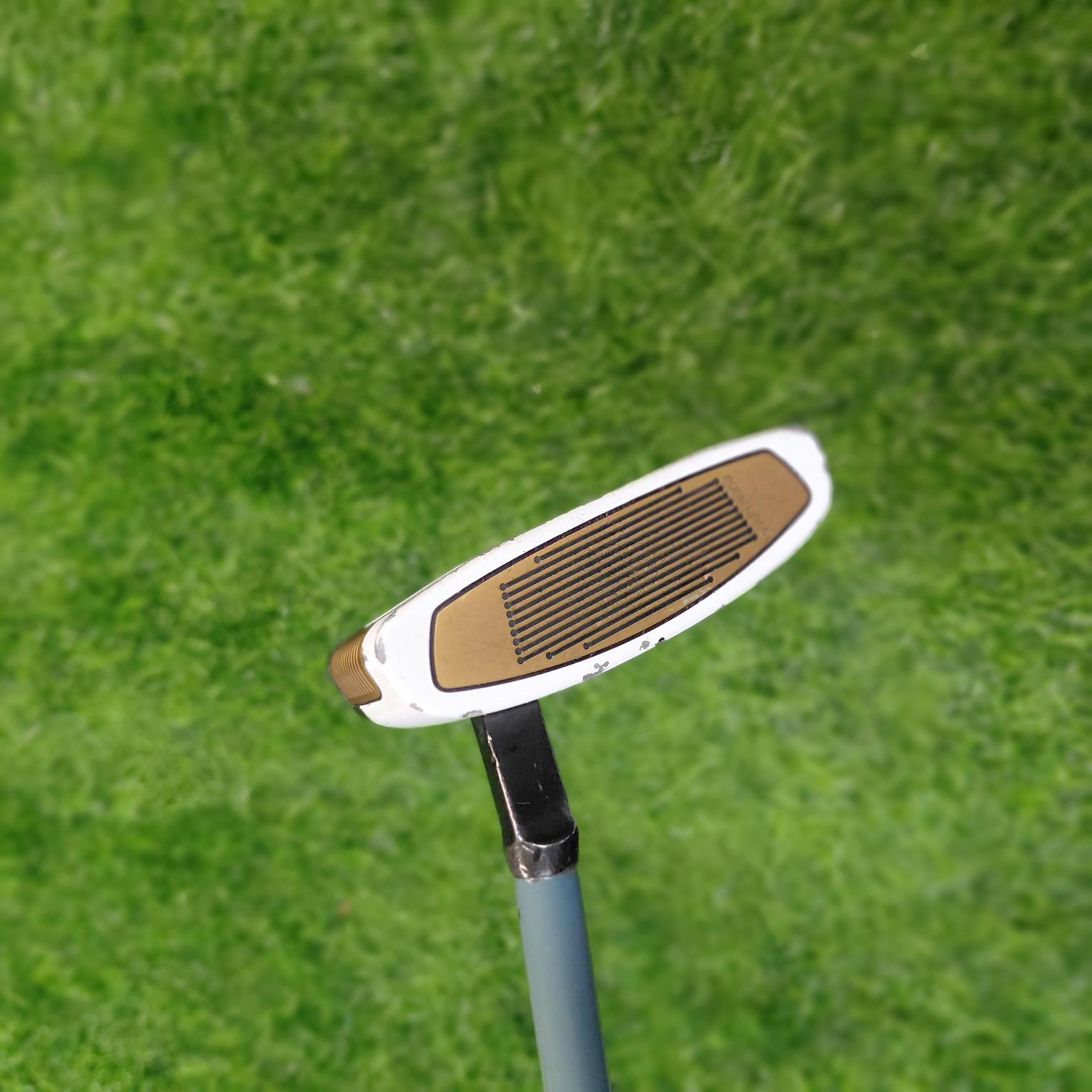 TaylorMade Putter / Spider FCG BLACK/WHITE Small Slant / 34"