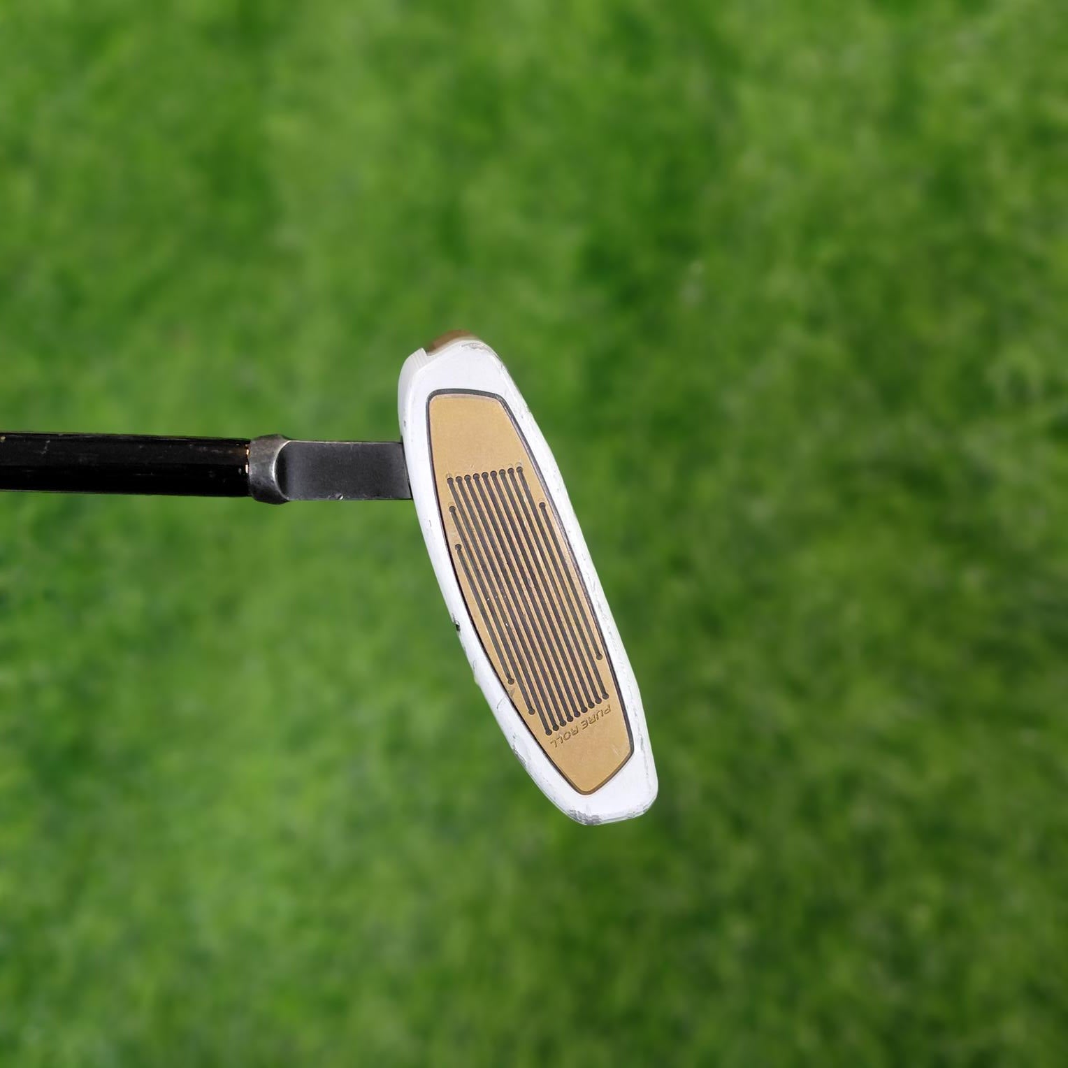 TaylorMade Putter / Spider FCG BLACK/WHITE Small Slant / 33"