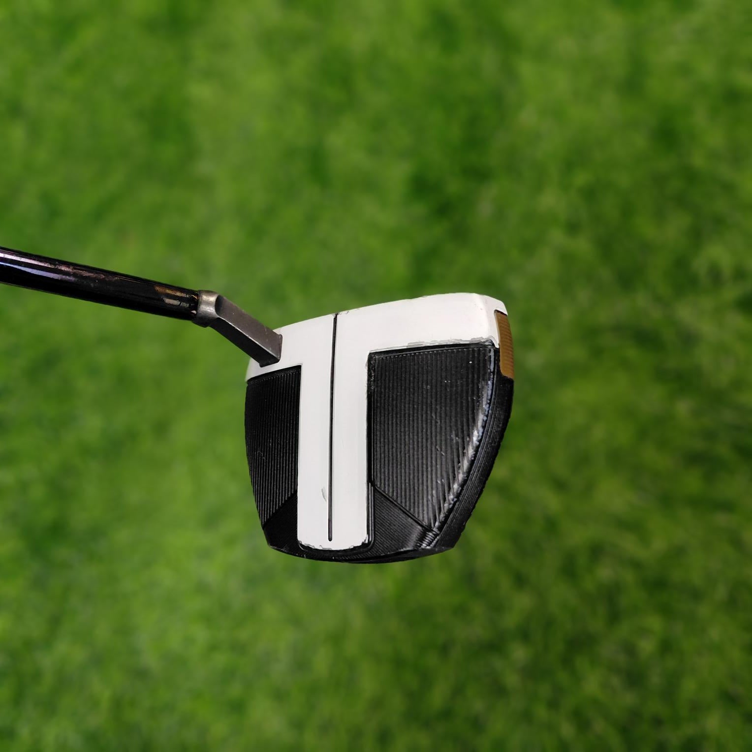 TaylorMade Putter / Spider FCG BLACK/WHITE Small Slant / 33"