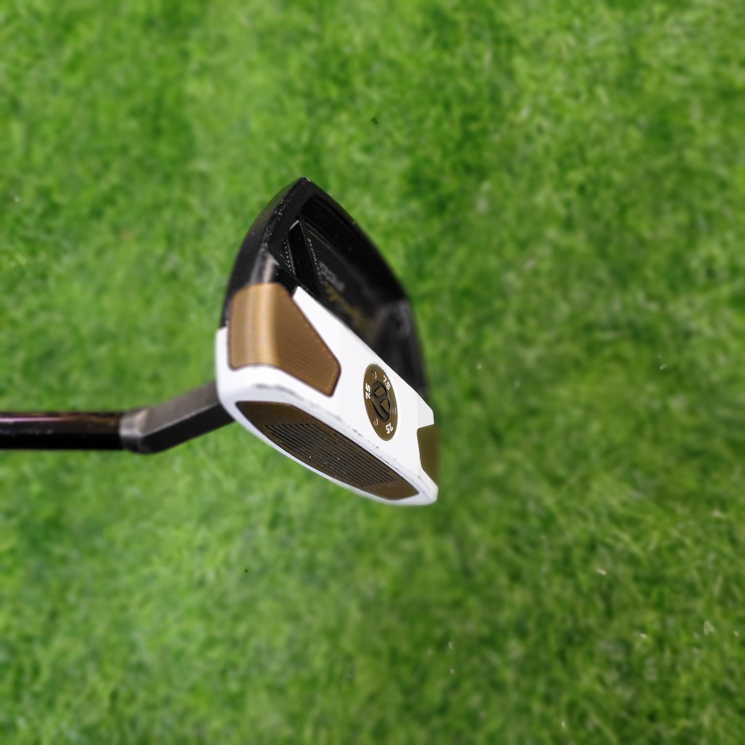 TaylorMade Putter / Spider FCG BLACK/WHITE Small Slant / 33"