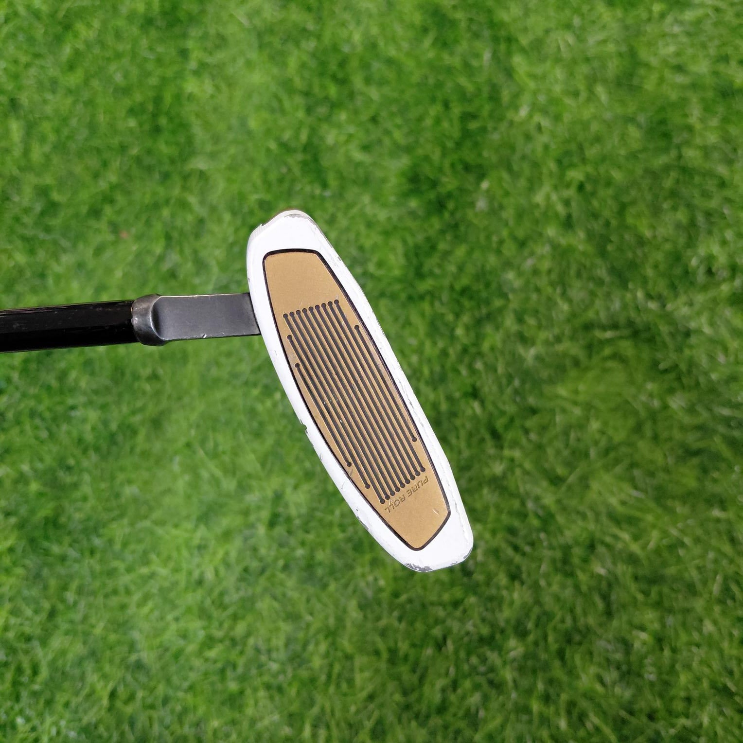 TaylorMade Putter / Spider FCG BLACK/WHITE Small Slant / 33"