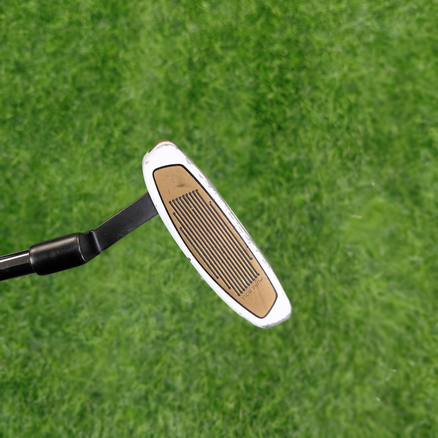 TaylorMade Putter / SPIDER FCG / 34"