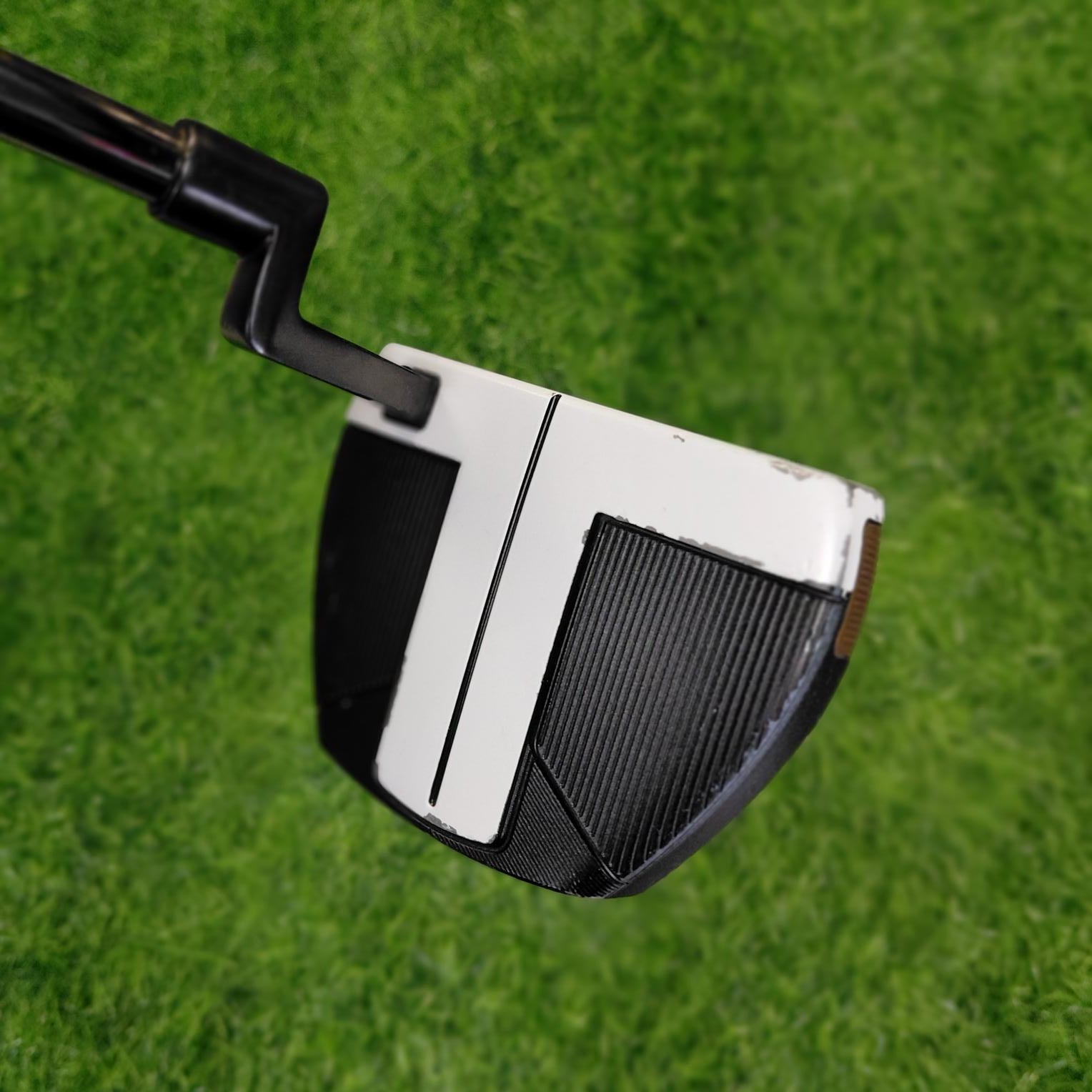 TaylorMade Putter / SPIDER FCG / 34"
