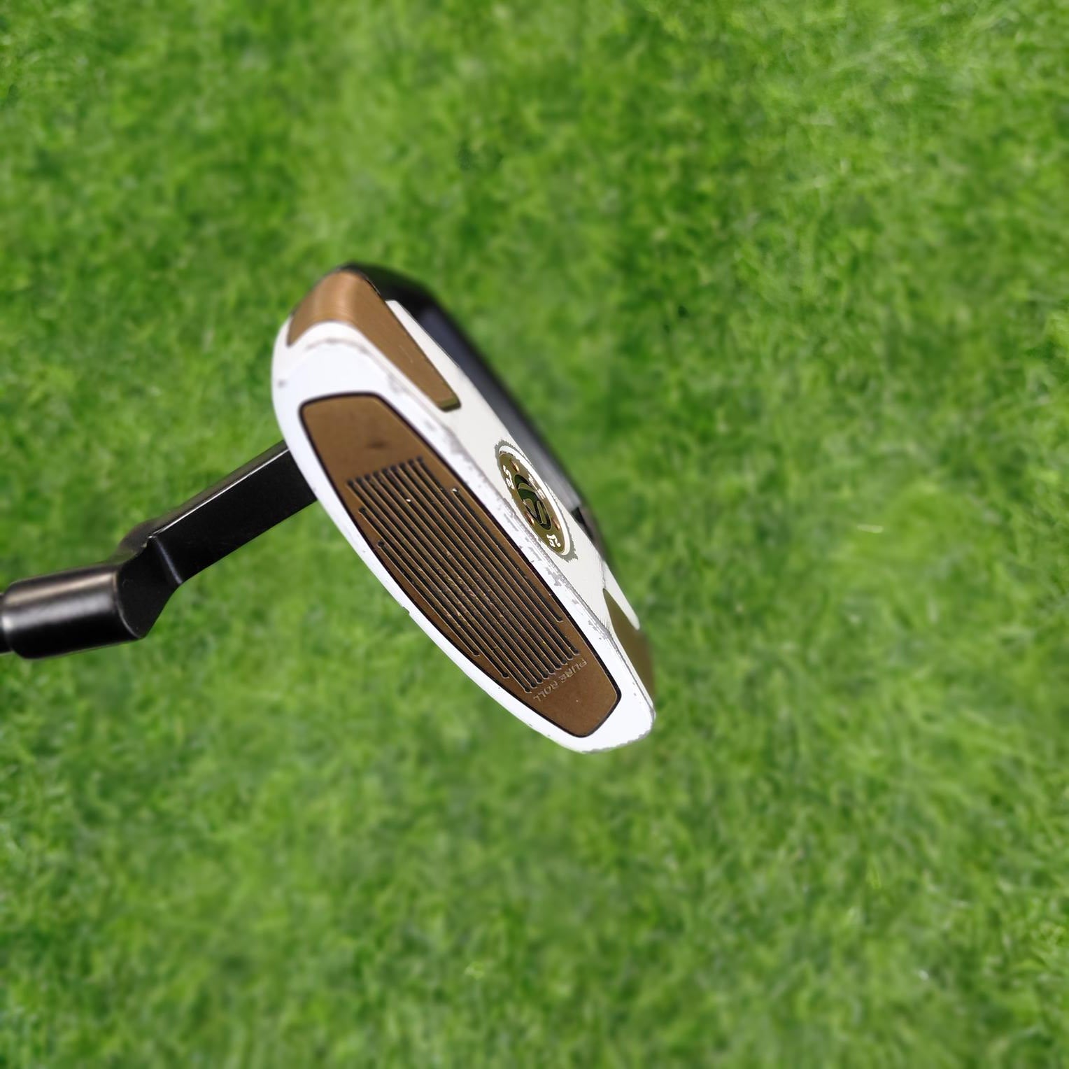TaylorMade Putter / SPIDER FCG / 34"