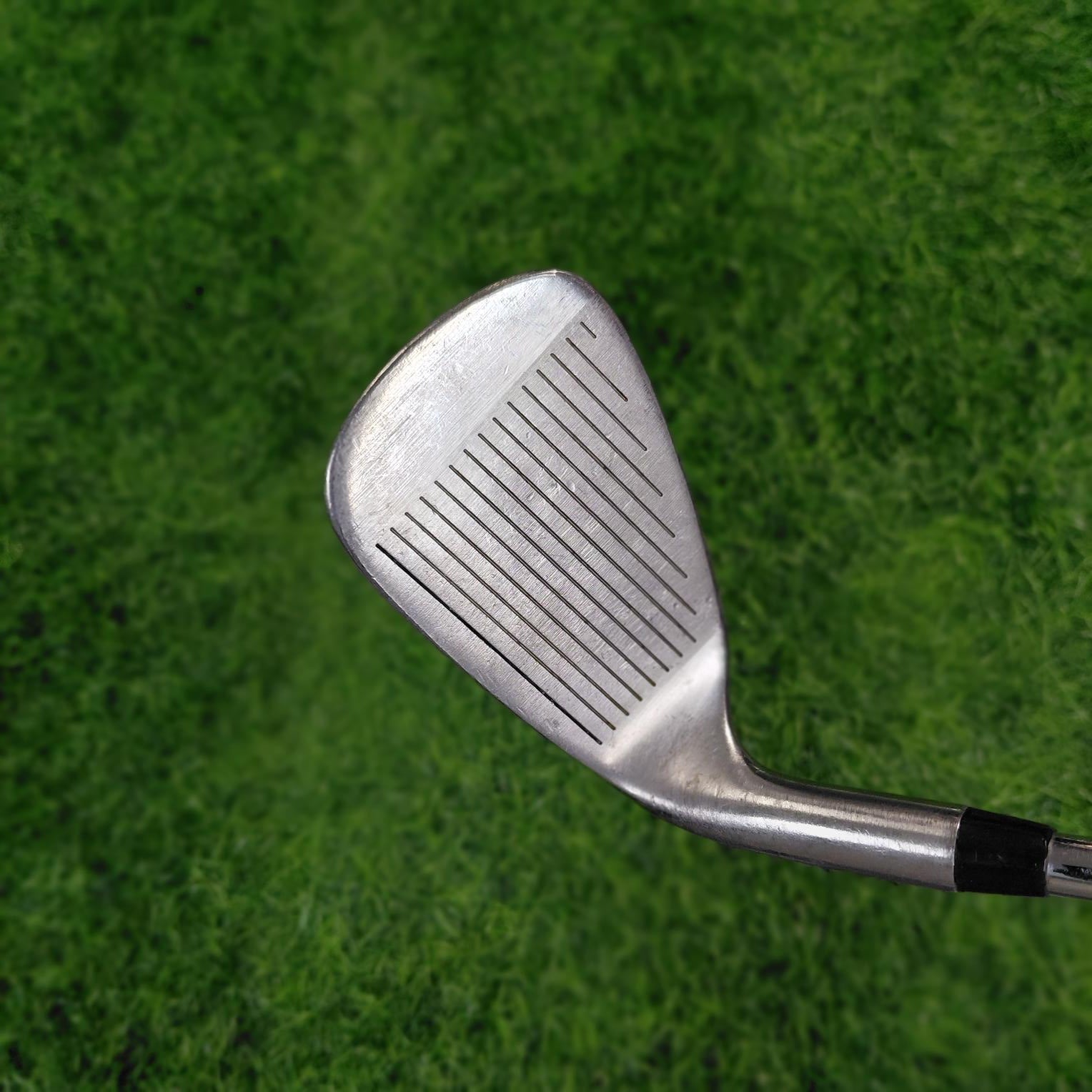 Wilson Wedge / X31 / SW