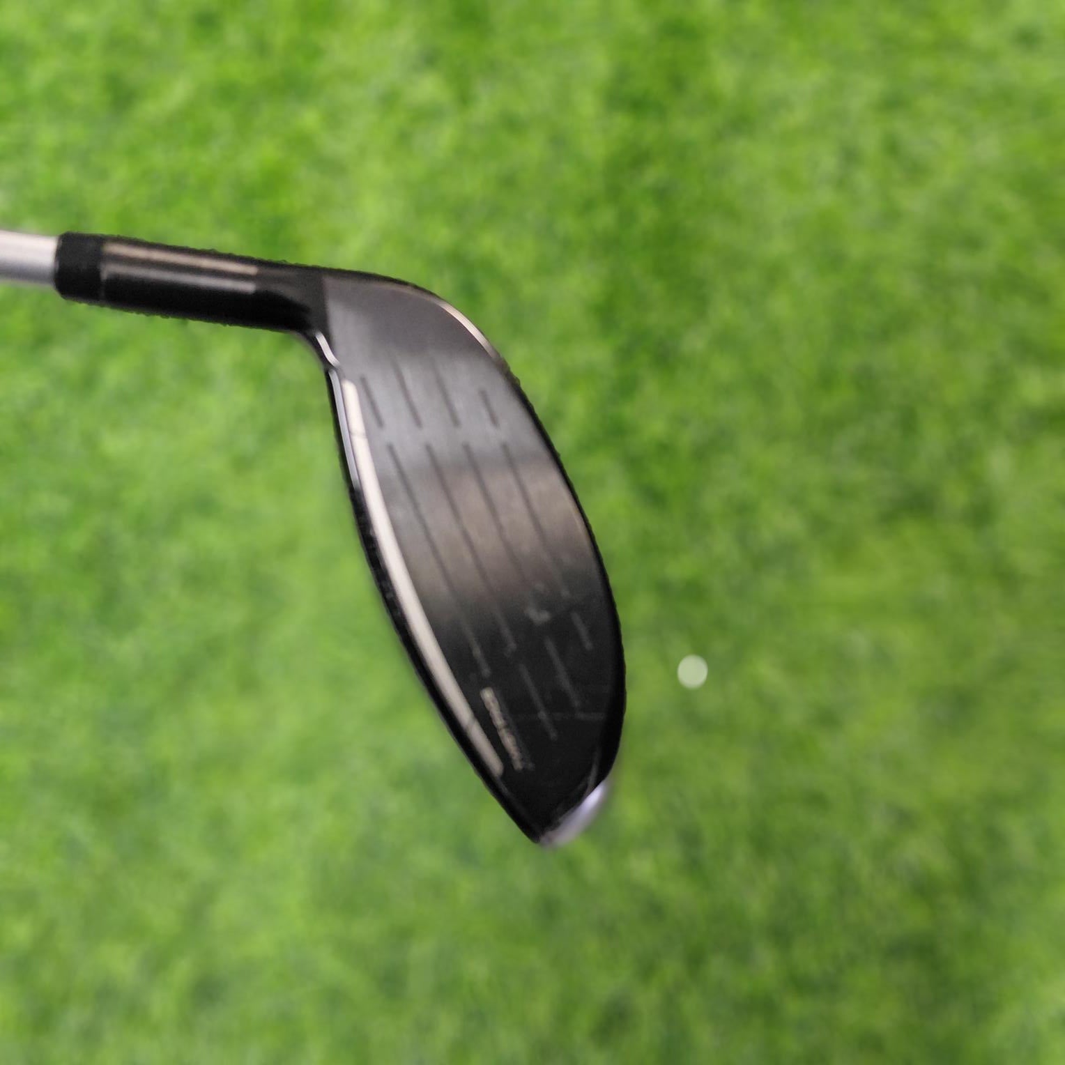 TaylorMade Wood / Qi10 MAX / 7W(22.0°) / A / Women