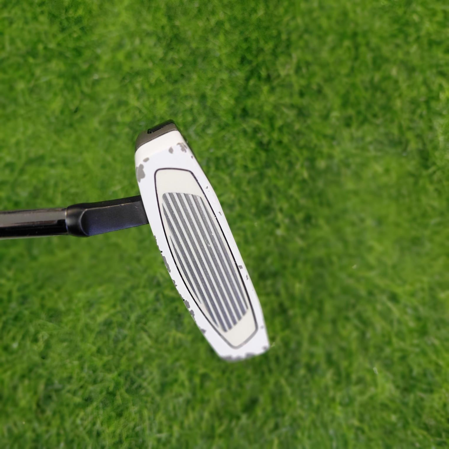 TaylorMade Putter / SPIDER EX PL/WH /White / 34"