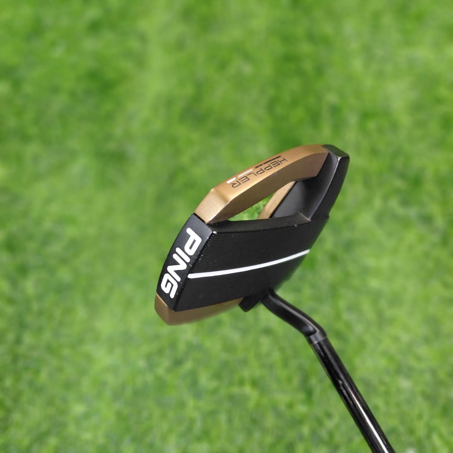 PING Putter / HEPPLER FLOKI / 34" / Lefty