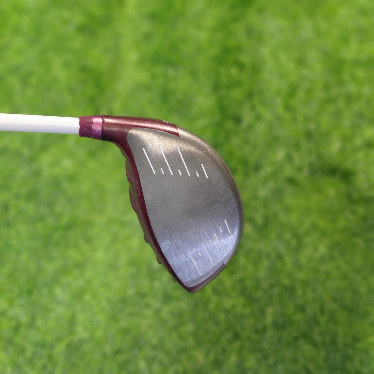 PING Driver / GLe2 / 11.5 / Women