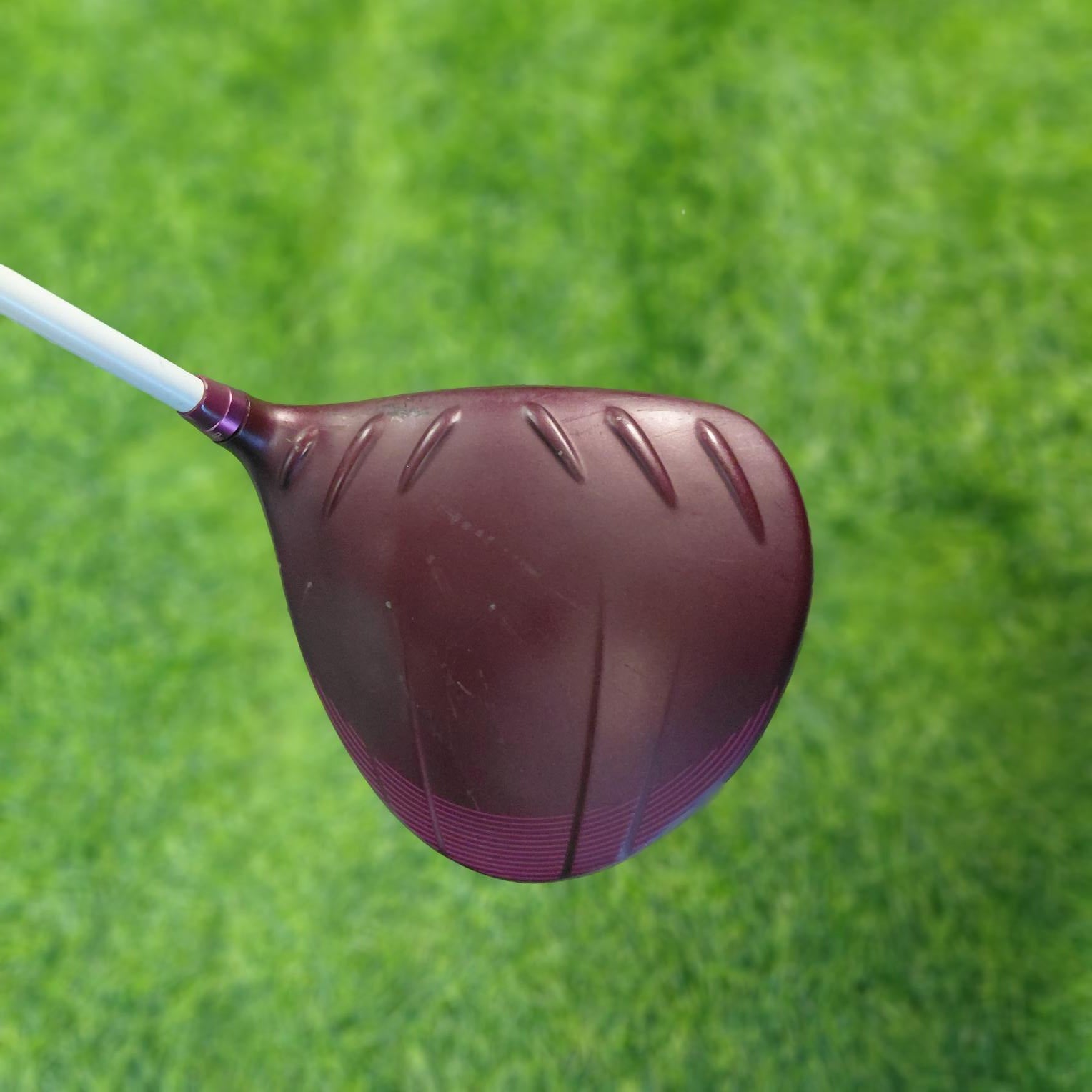 PING Driver / GLe2 / 11.5 / Women