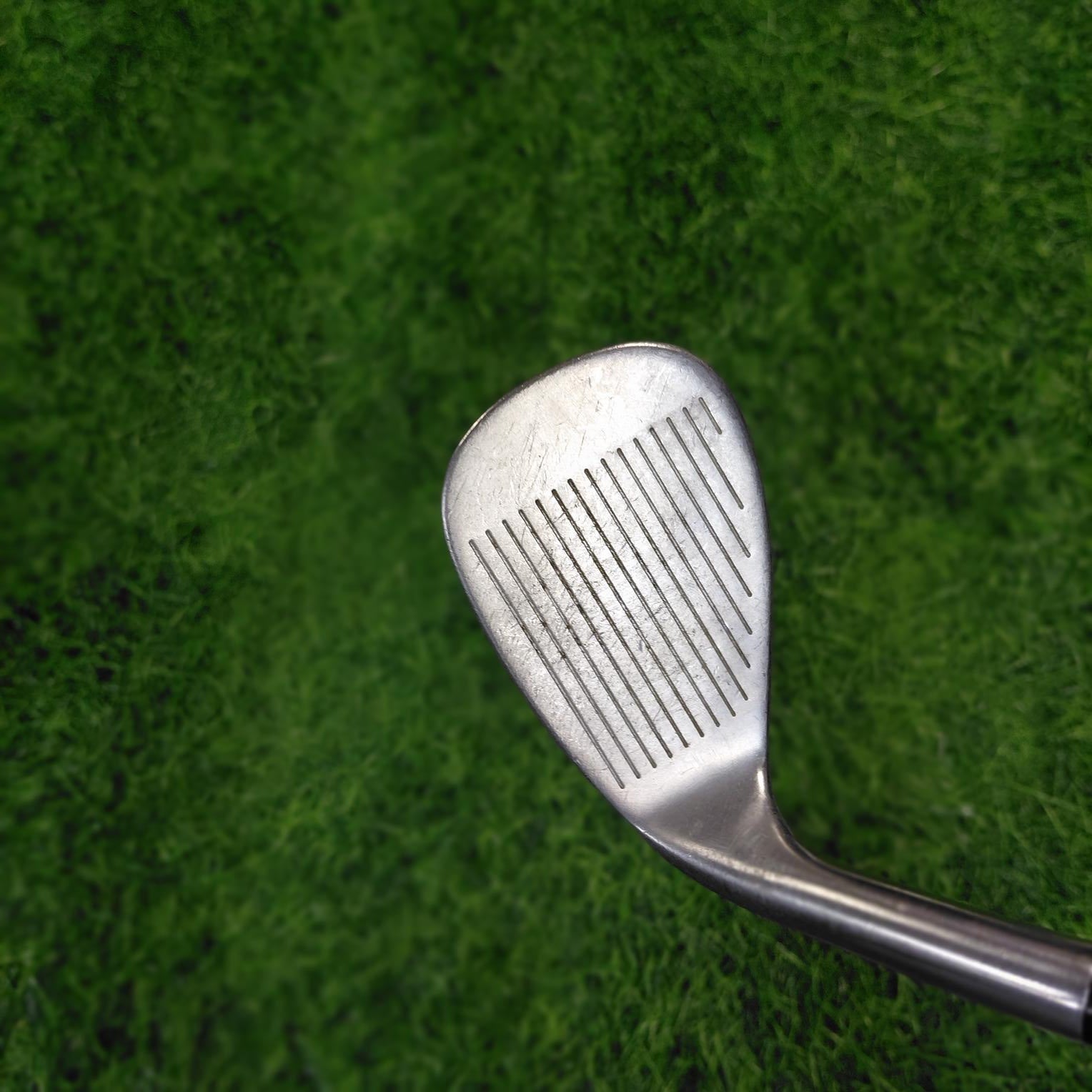 RAY COOK Wedge / BASIC / 56.0