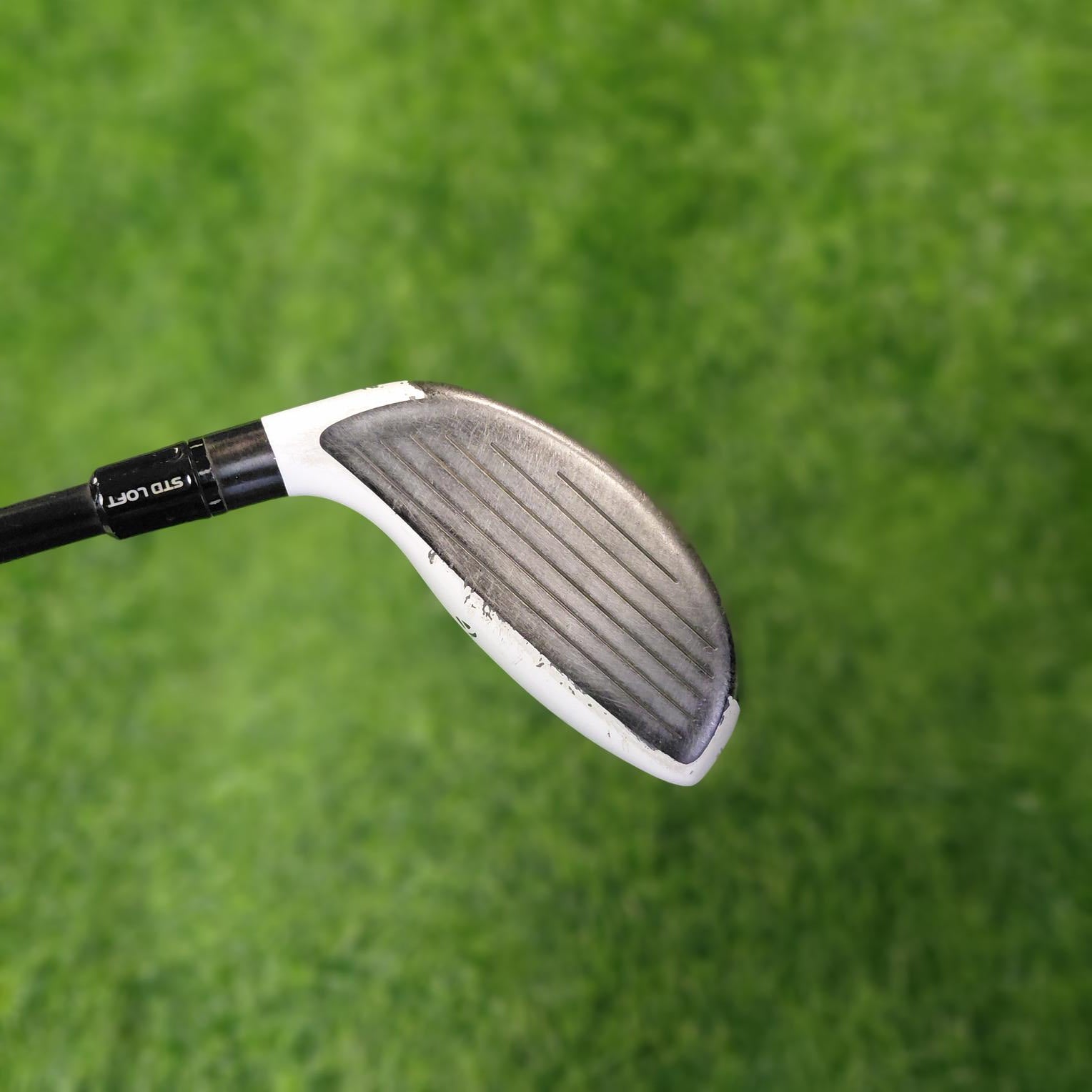 TaylorMade Wood / R11 7W USA / 7W(22.0°) / R