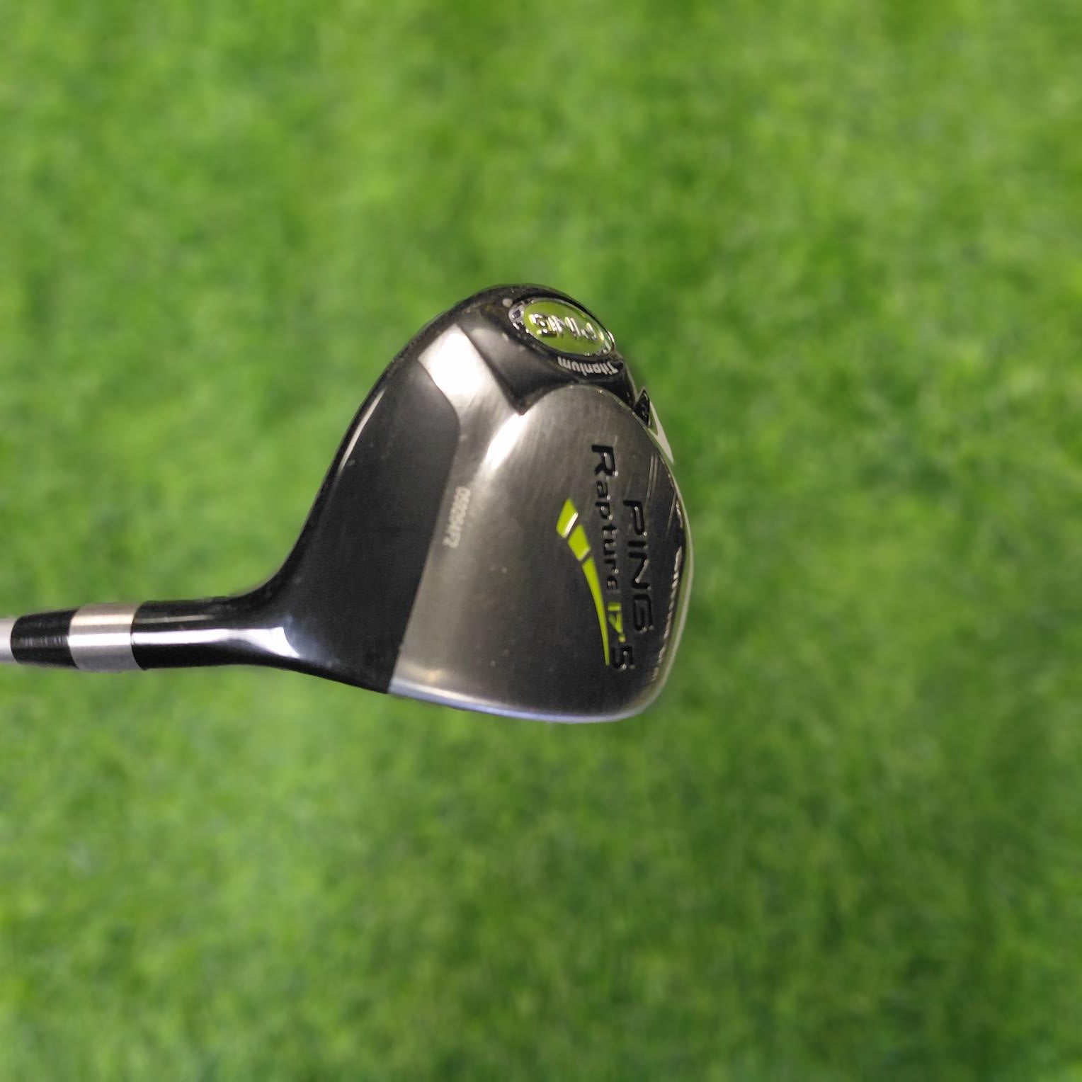 PING Wood / Rapture / 5W(17.0) / R