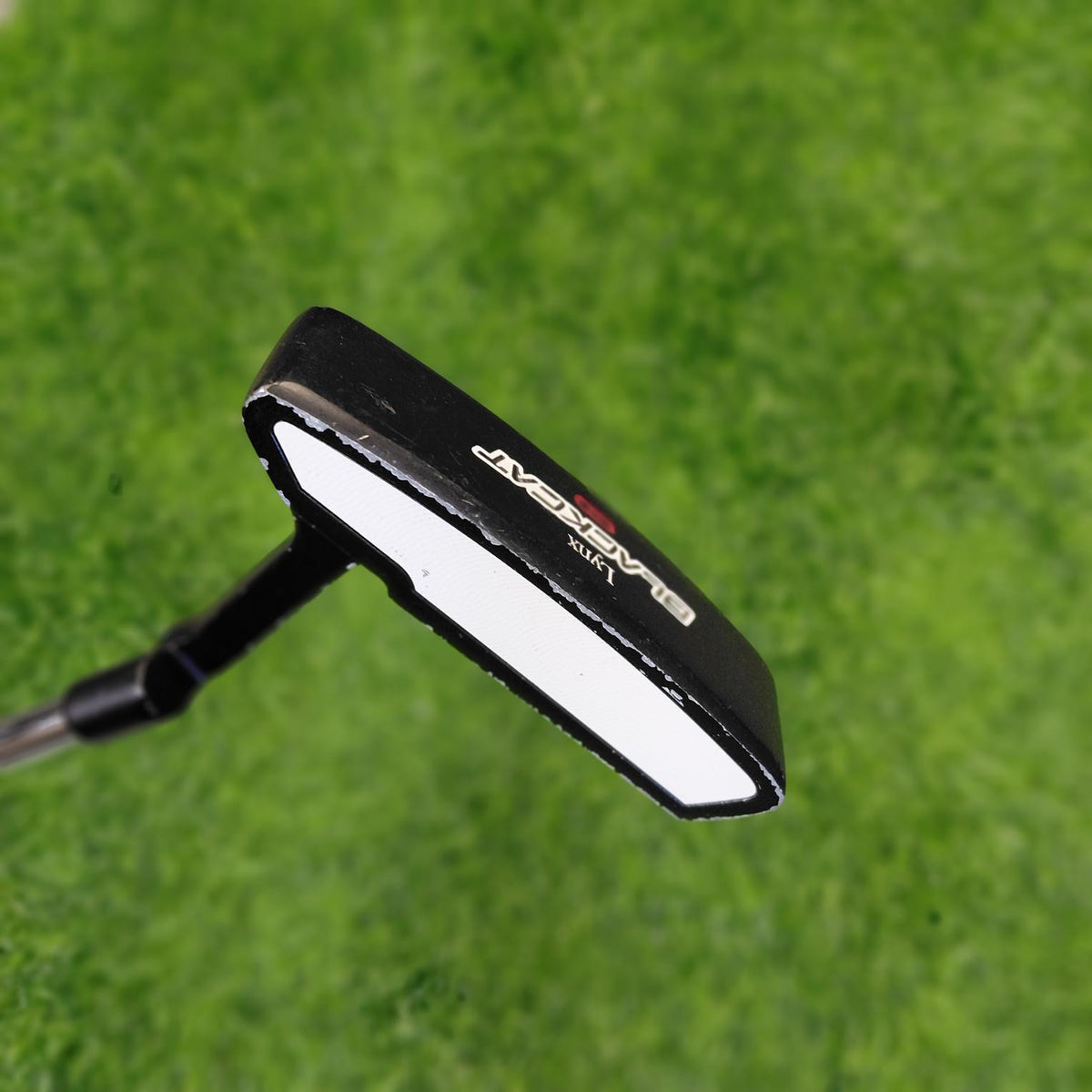 Lynx Putter / BLACKCAT / 36"