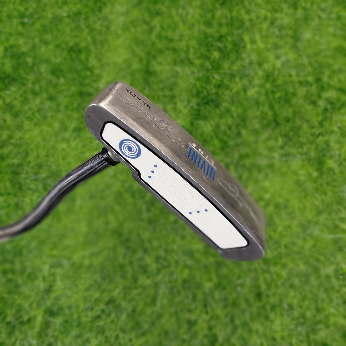 Odyssey Putter / DIVINE LINE BLADE / Women / 33"