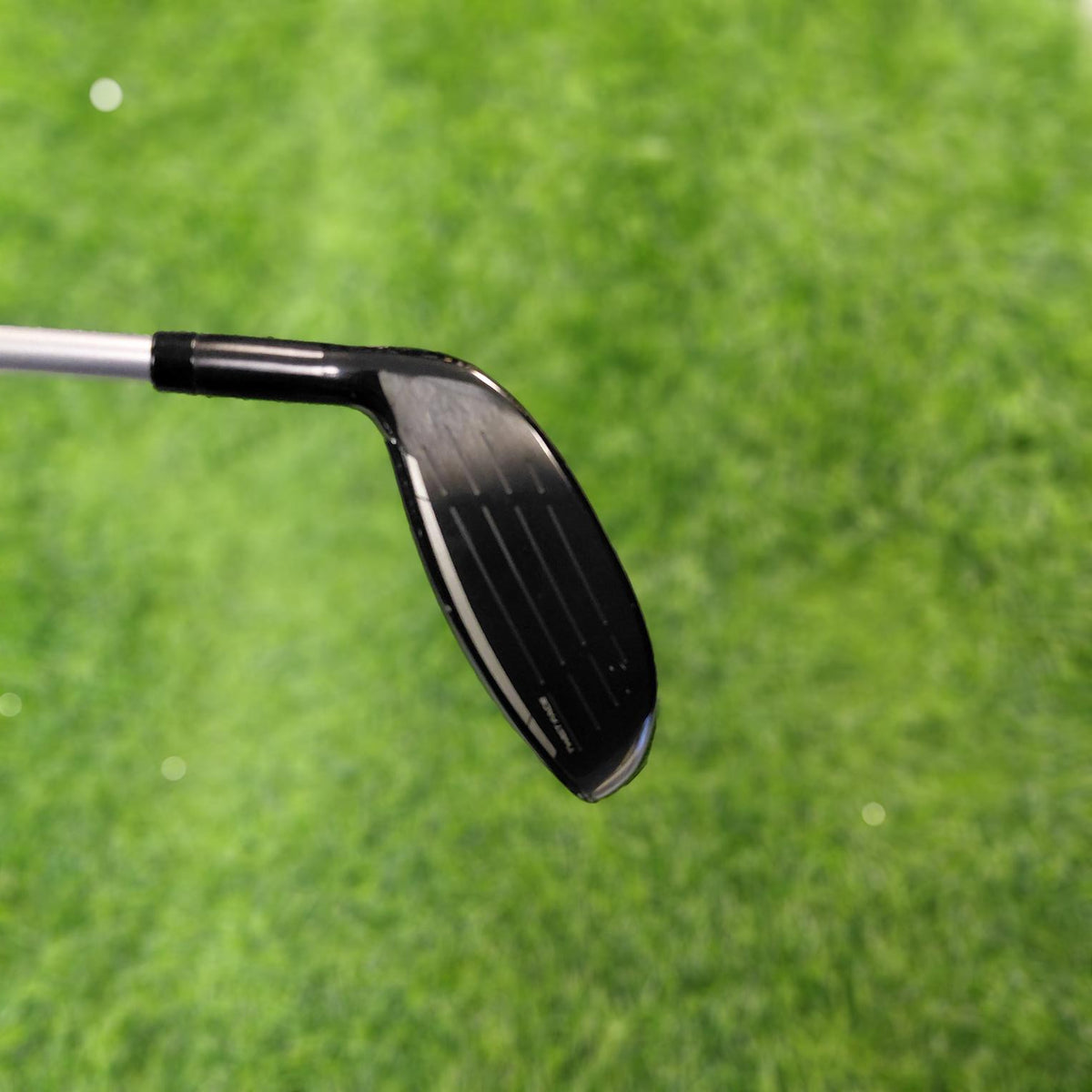 TaylorMade Wood / Qi10 MAX / 5W(19.0°) / Women