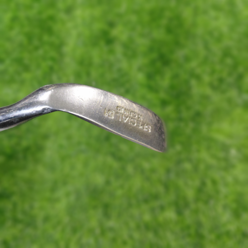 Ben Horgan Wedge / SPECIAL / 51.0